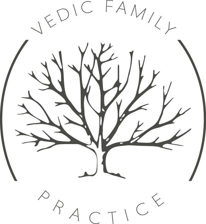 Vedic-Logo-(2)